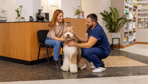 Veterinary professional kneeling beside a large fluffy dog, examining its neck, while the dog sits near a person on a chair in a clinic reception area.