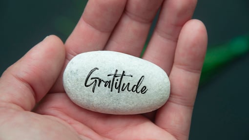 Hand holding a smooth white stone with the word ‘Gratitude’ written on it in black script font.