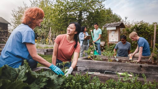 People volunteering together in a community garden.