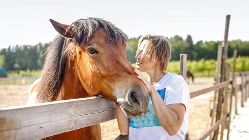 a woman petting a horse's face over a wooden fence 
