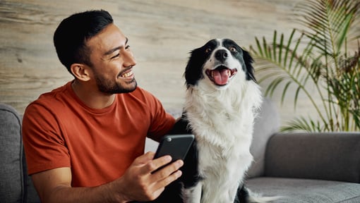 a man sitting next to a black and white dog on a couch, the man is smiling at the dog