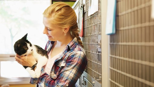A woman holding a white and black cat next to some cages at a animal rescue. 