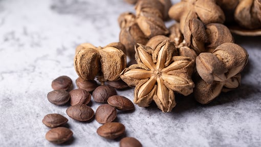 Sacha Inchi seeds known as the Inca peanut on a flat surface.